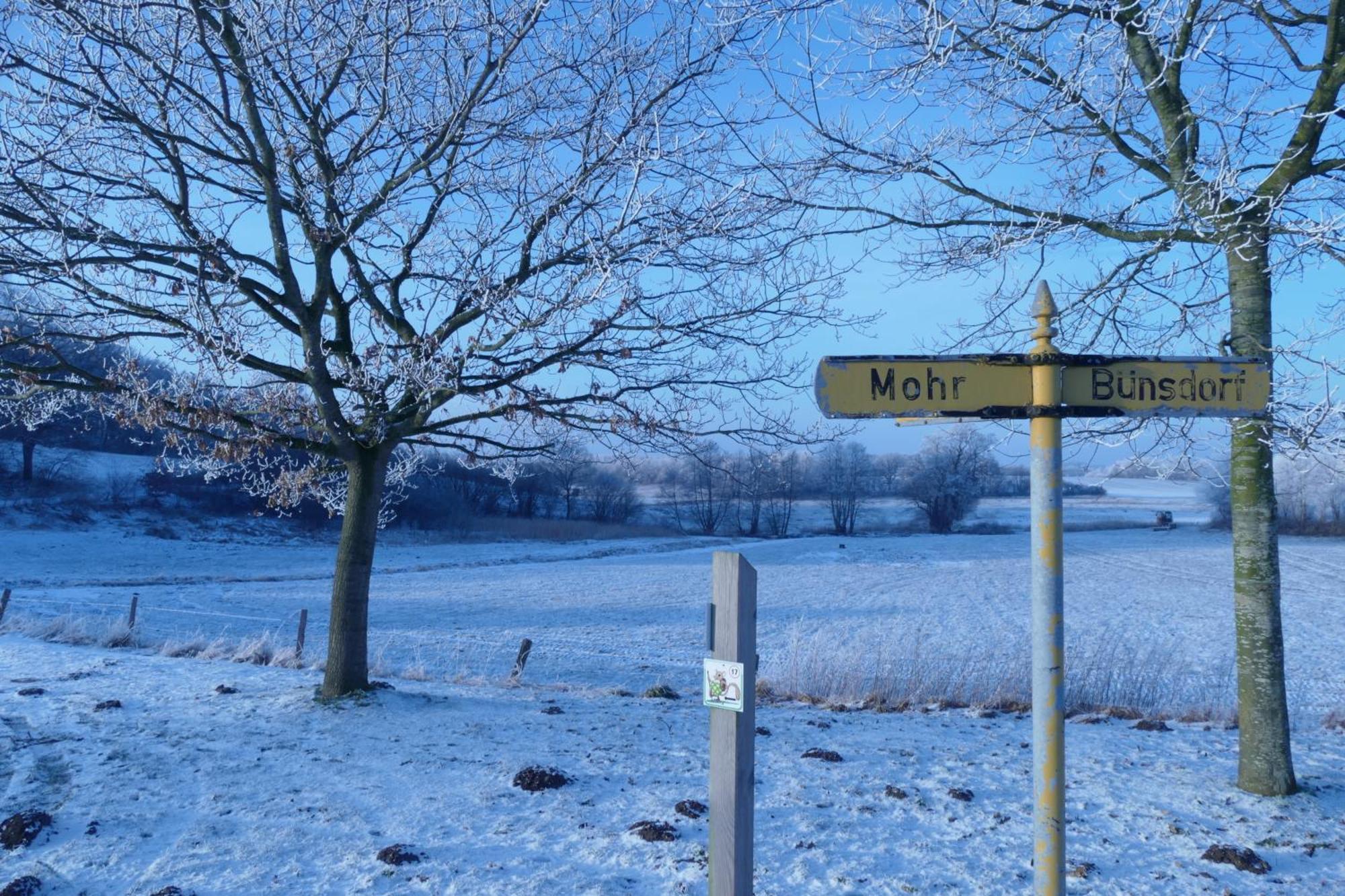 Frietied Am Wittensee Bunsdorf ภายนอก รูปภาพ