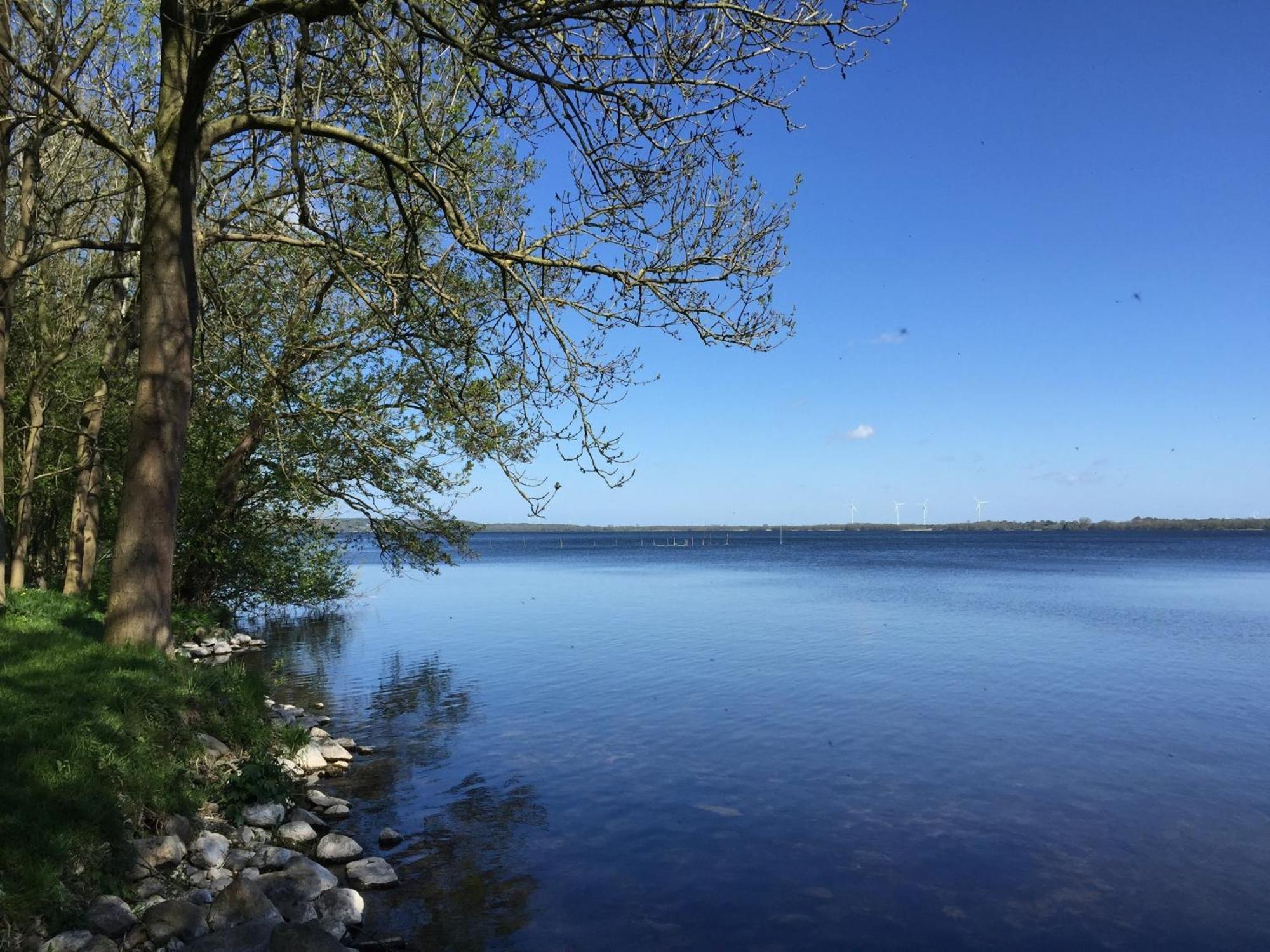 Frietied Am Wittensee Bunsdorf ภายนอก รูปภาพ